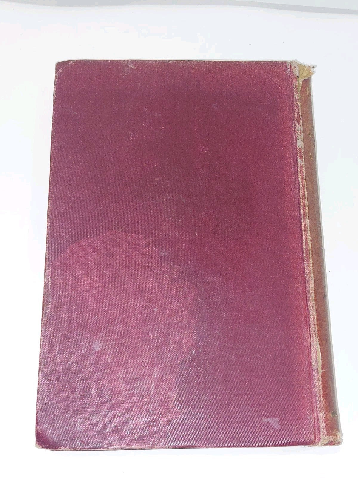 Evolution in Art by Alfred C. Haddon First Edition (1895) Havelock Ellis1