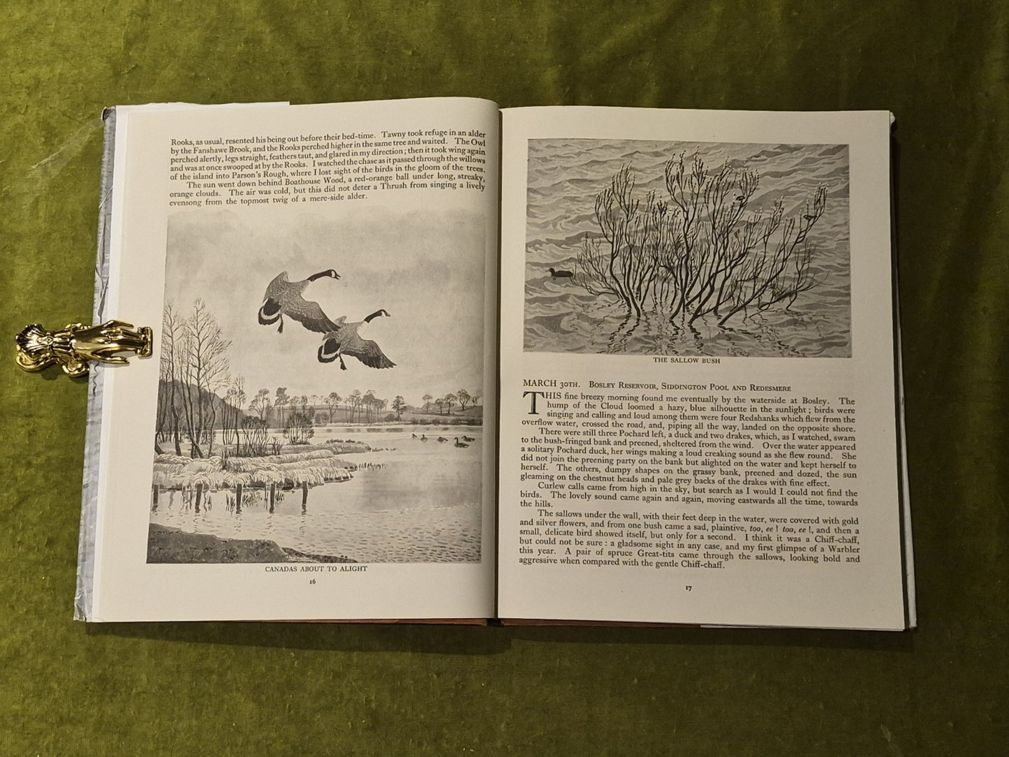 MERESIDE CHRONICLE With a Short Interlude of Lochs and Lochans - Tunnicliffe6