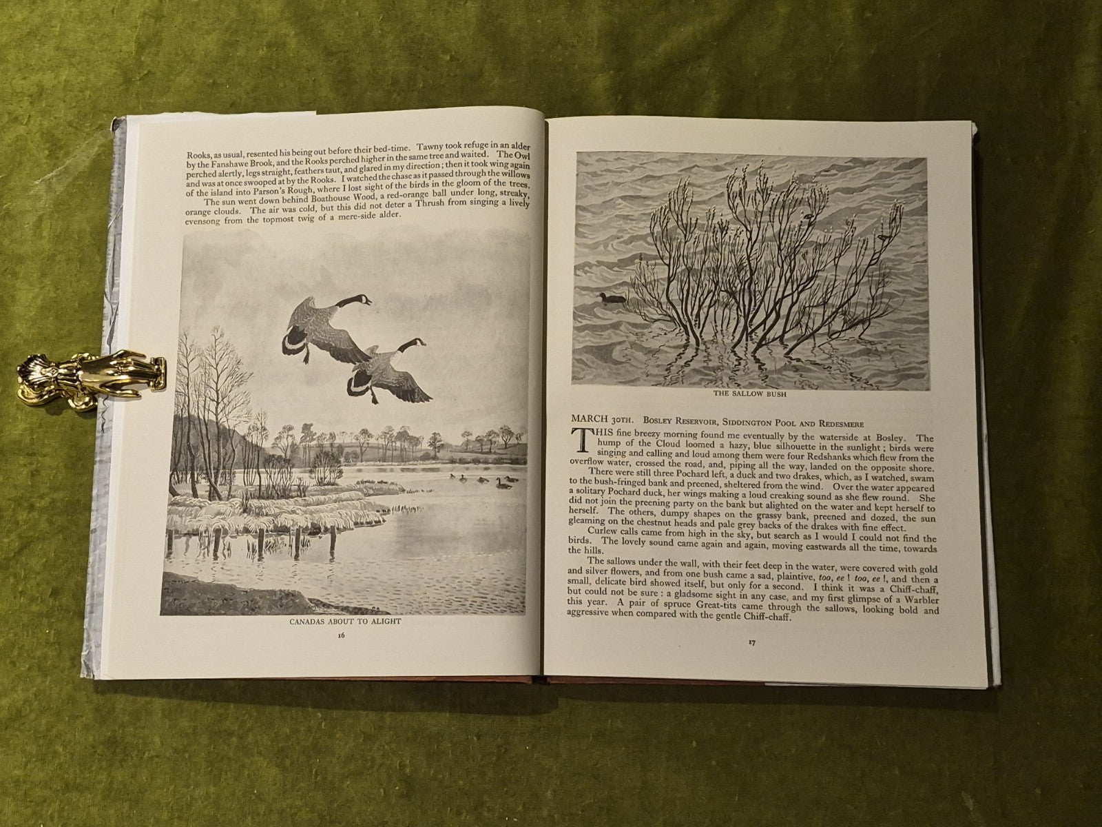MERESIDE CHRONICLE With a Short Interlude of Lochs and Lochans - Tunnicliffe6