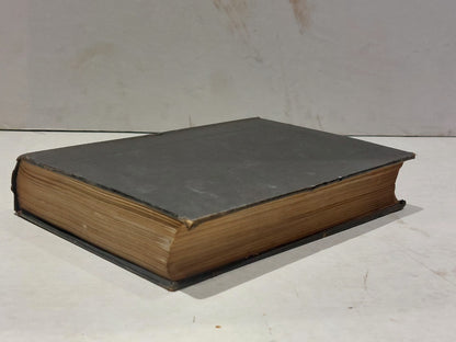 The Church Under Queen Elizabeth by Frederick George Lee - HB 1896 [Antiquarian]7
