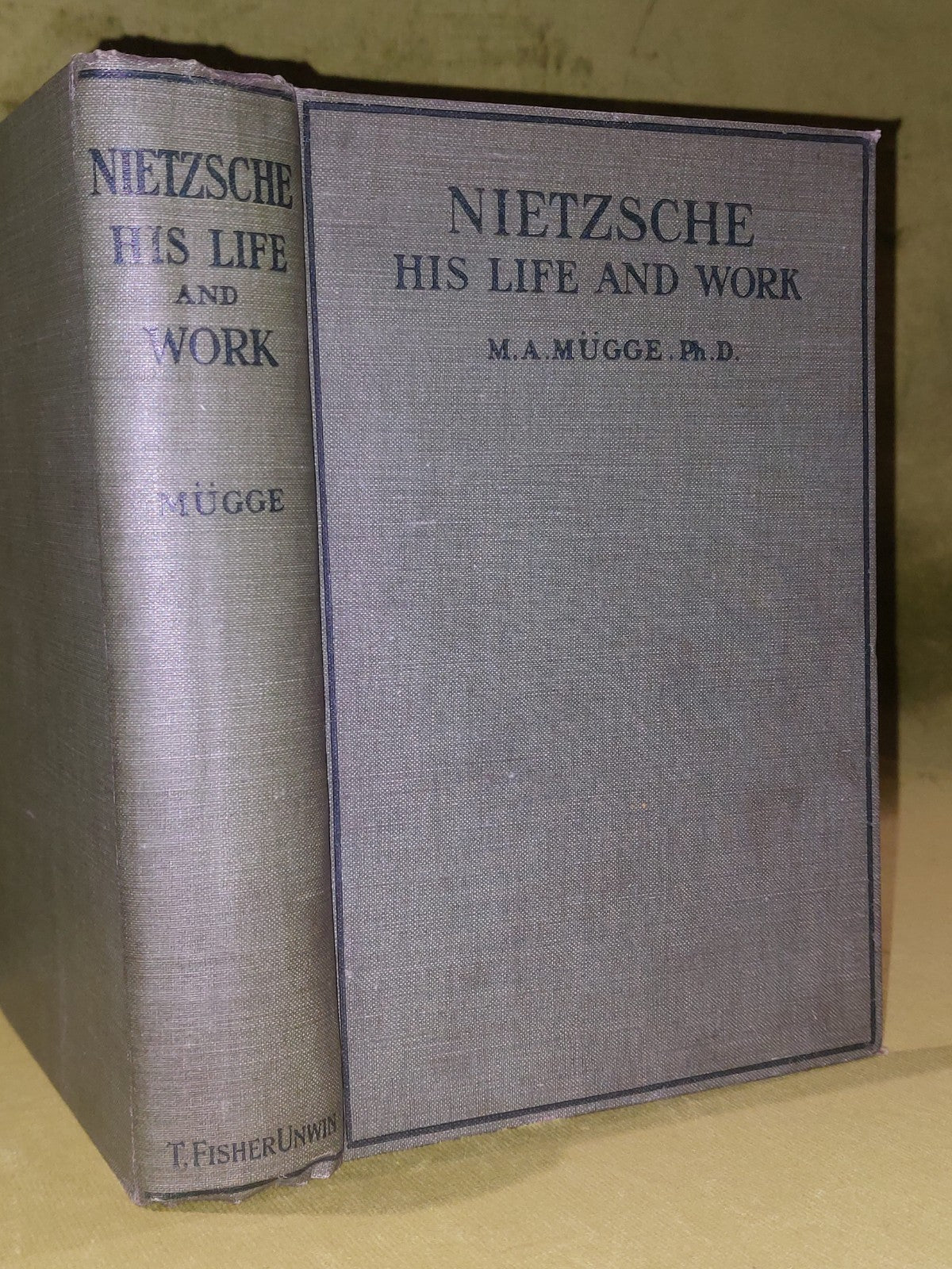 Friedrich Nietzsche, His Life and Work by Mugge (1914)1