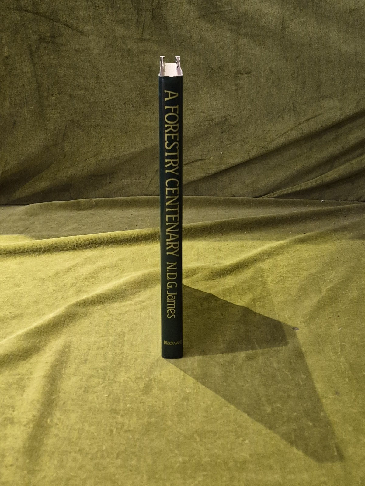 A Forestry Centenary - N D G James , Basil Blackwell 1982 1st Ed HB DJ2