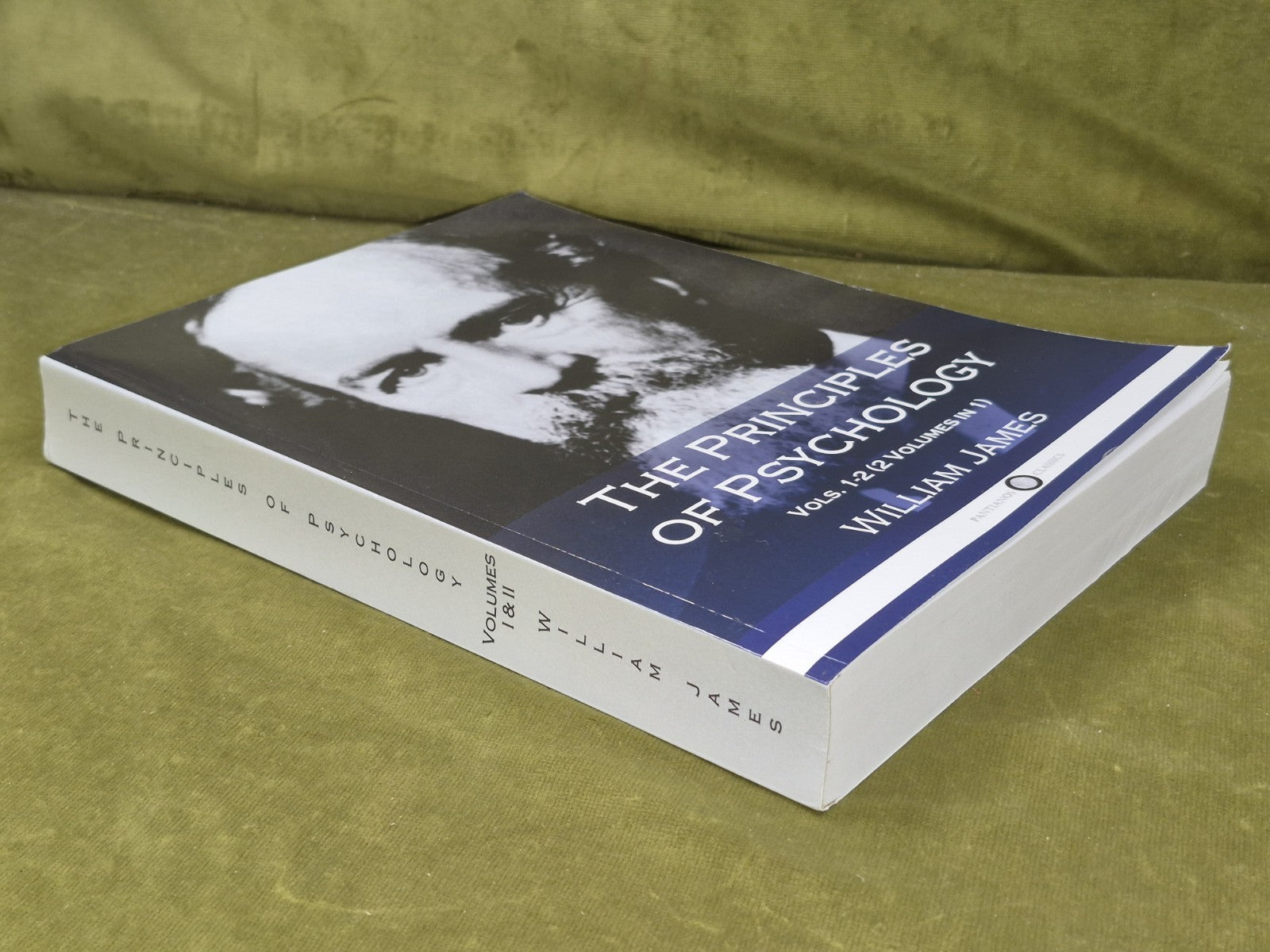 The Principles of Psychology, Vols. 1-2 (2 Volumes in 1)2