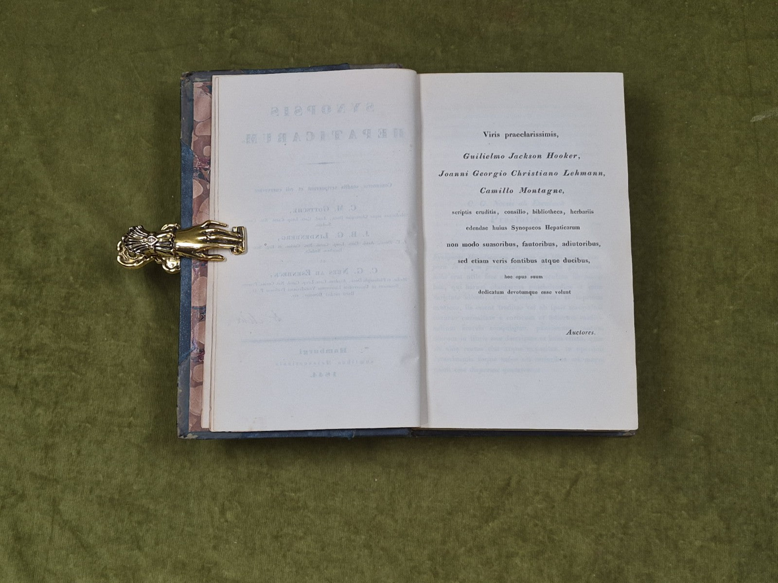 Synopsis hepaticarum: Coniunctis studiis scripserunt et edi curaverunt - 18446