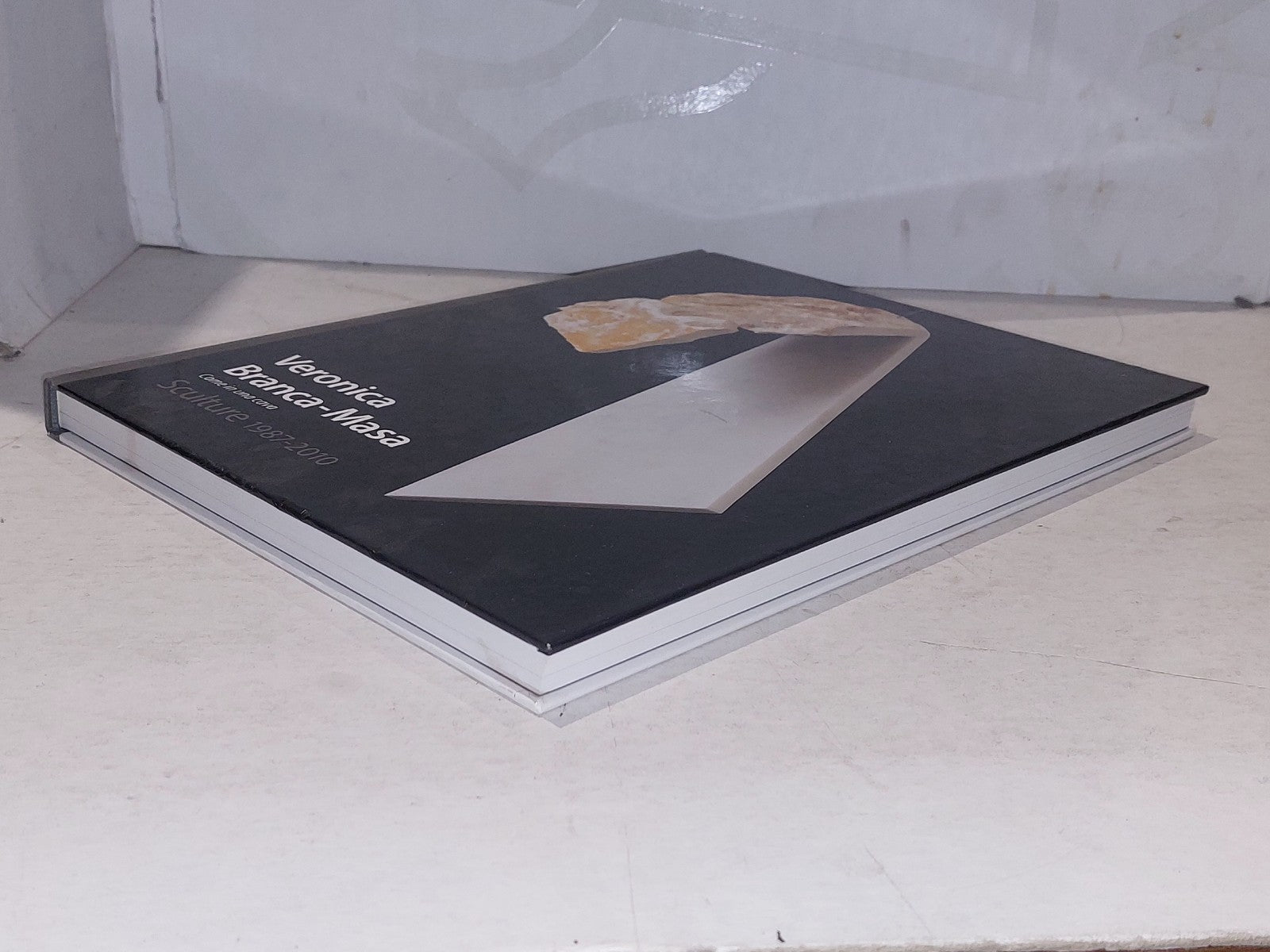 Veronica Branca-Masa : Sculture 1987-2010 (2011) Hb Book5