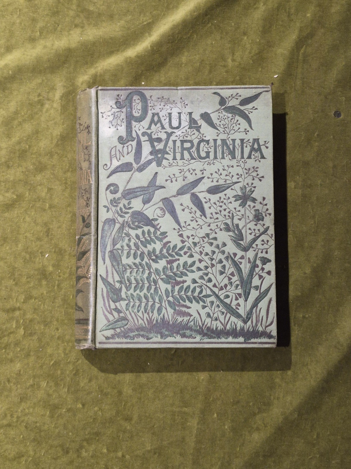 Paul and Virginia - Bernardine Saint Pierre0