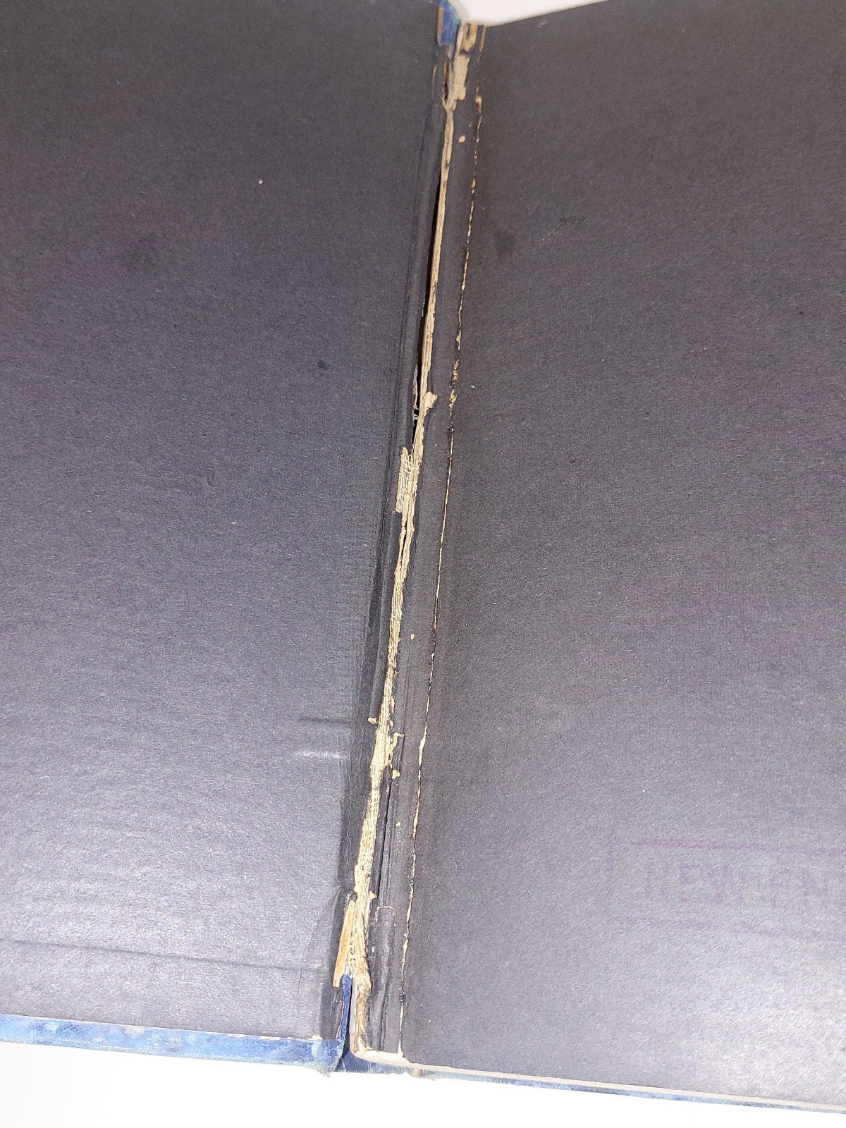 The Secret of the Totem by Andrew Lang (1905 first edition)4