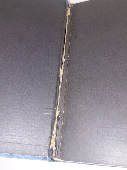 The Secret of the Totem by Andrew Lang (1905 first edition)4