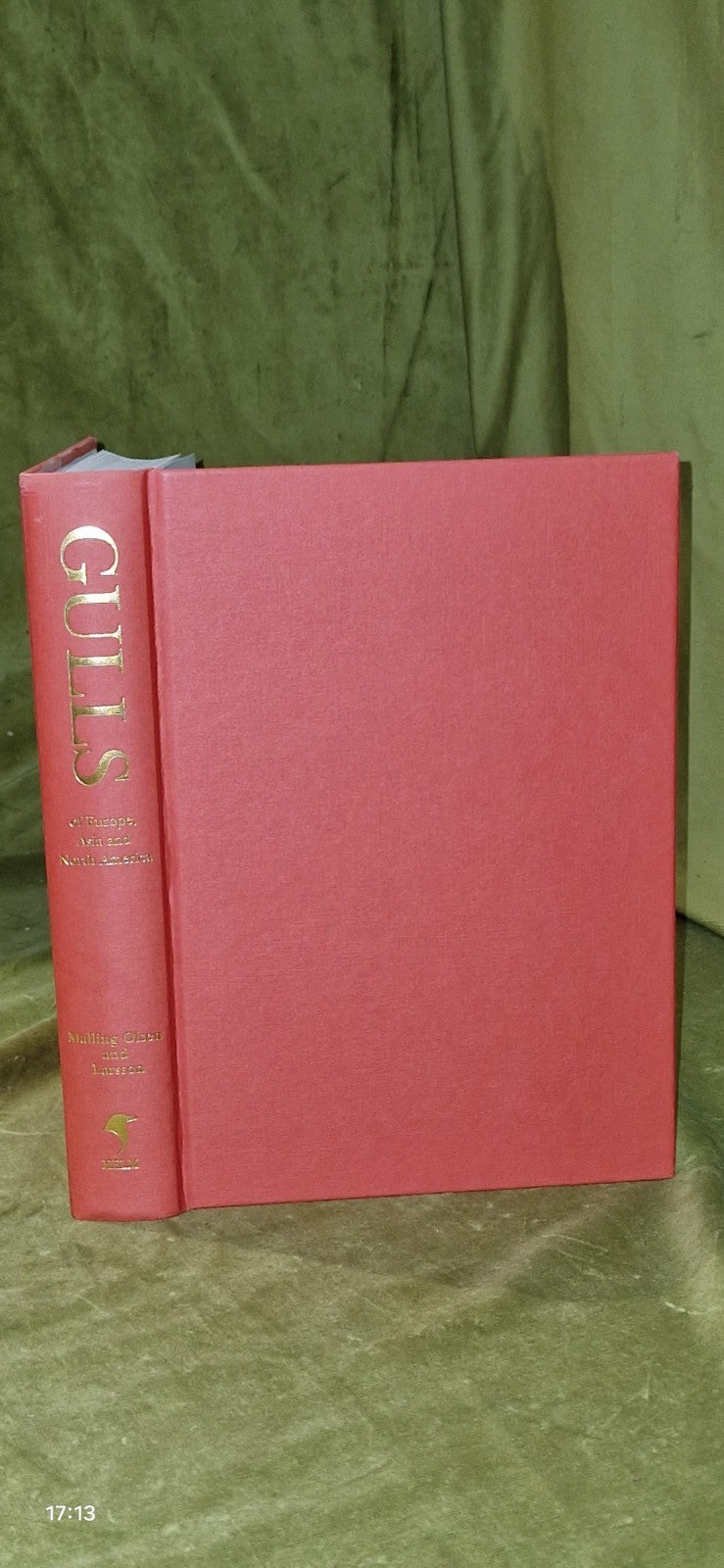 Gulls of Europe, Asia and North America (2005 Hardback) Helm Identification 3