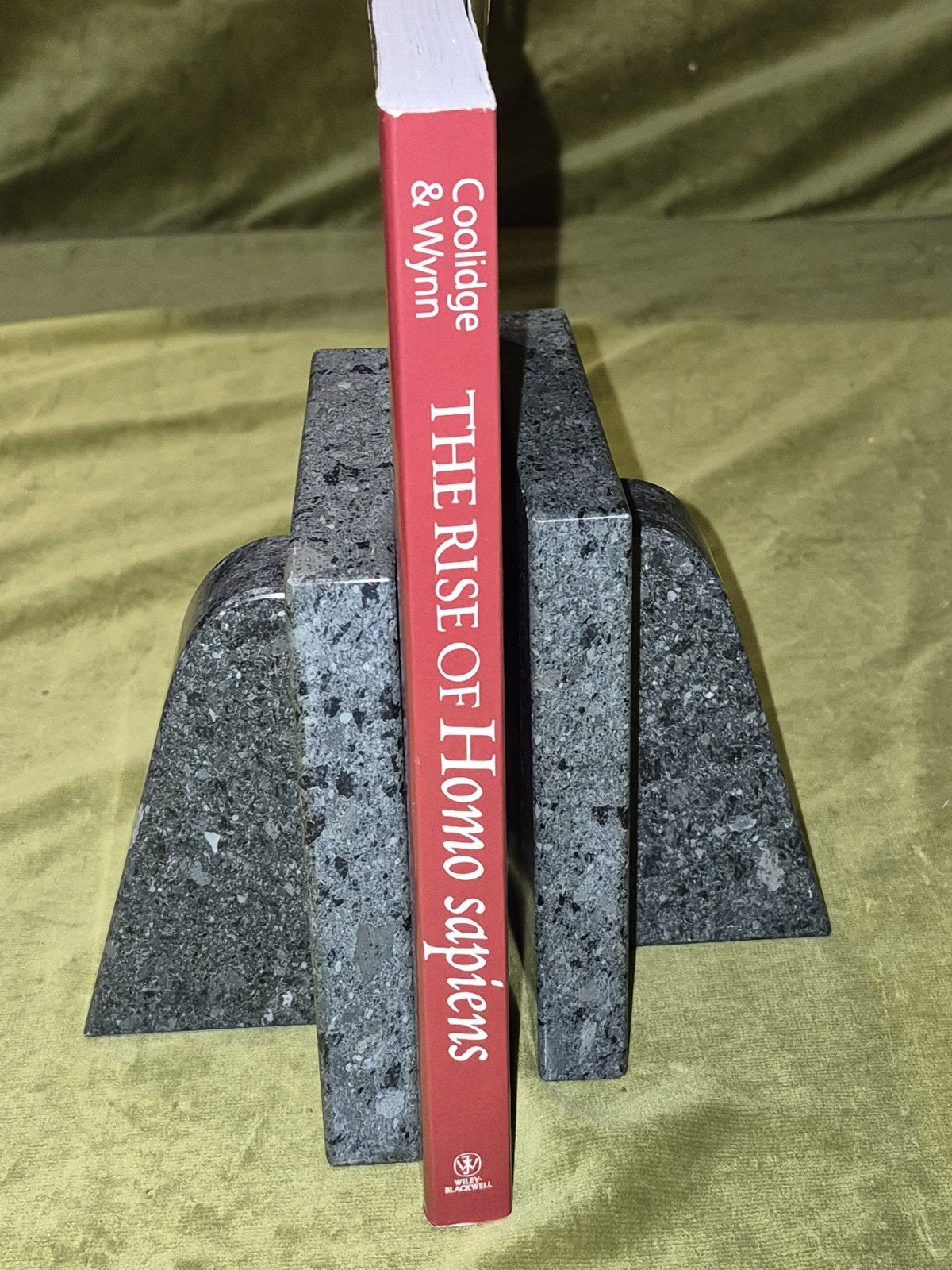 Rise of Homo Sapiens: the Evolution of Modern Thinking by Coolidge and Wynn2