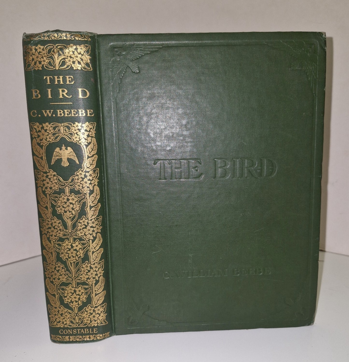 The Bird Its Form And Function By C. William Beebe 19070
