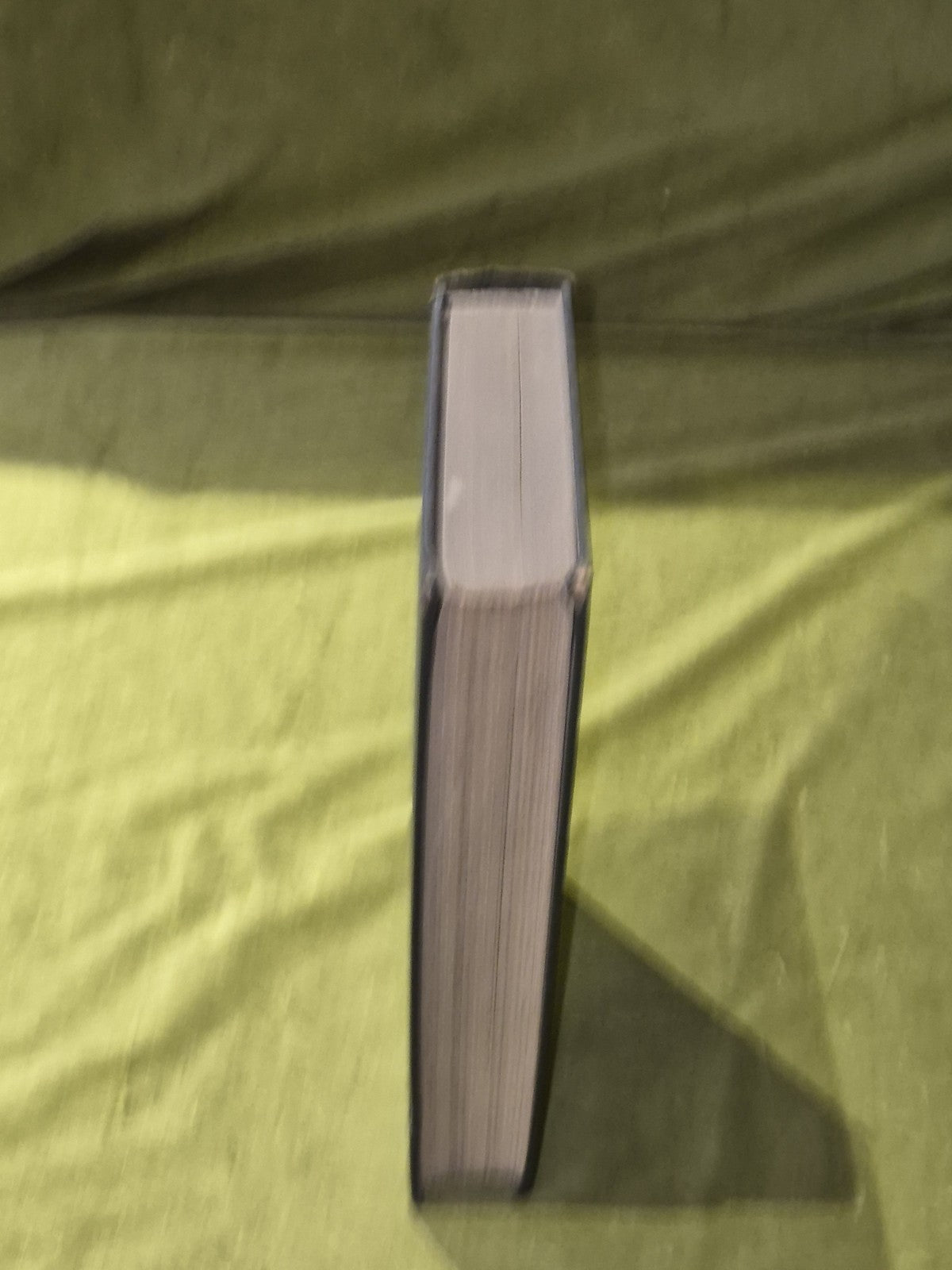 Cardinal Manning And Other Essays - J.E.C. Bodley7