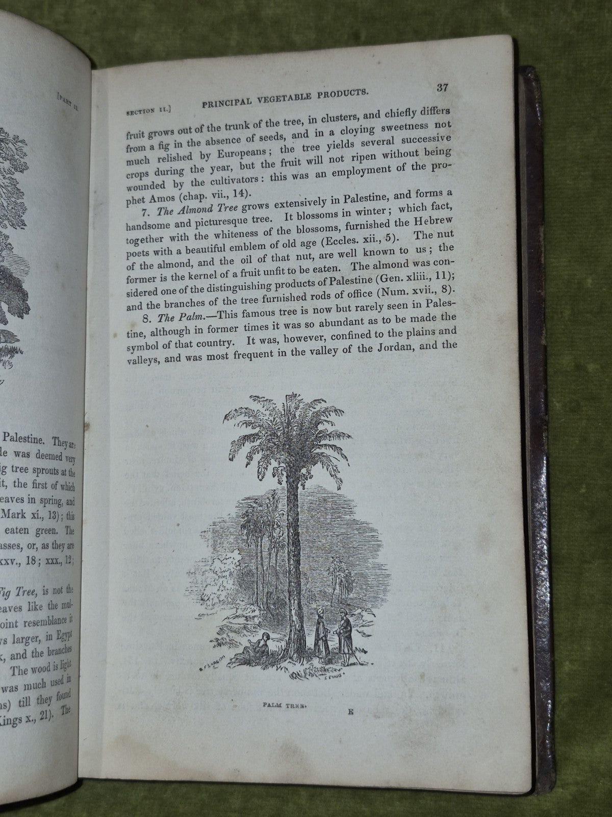 The History of Palestine from the Patriarchal Age to the Present Time 1846 Kitto3