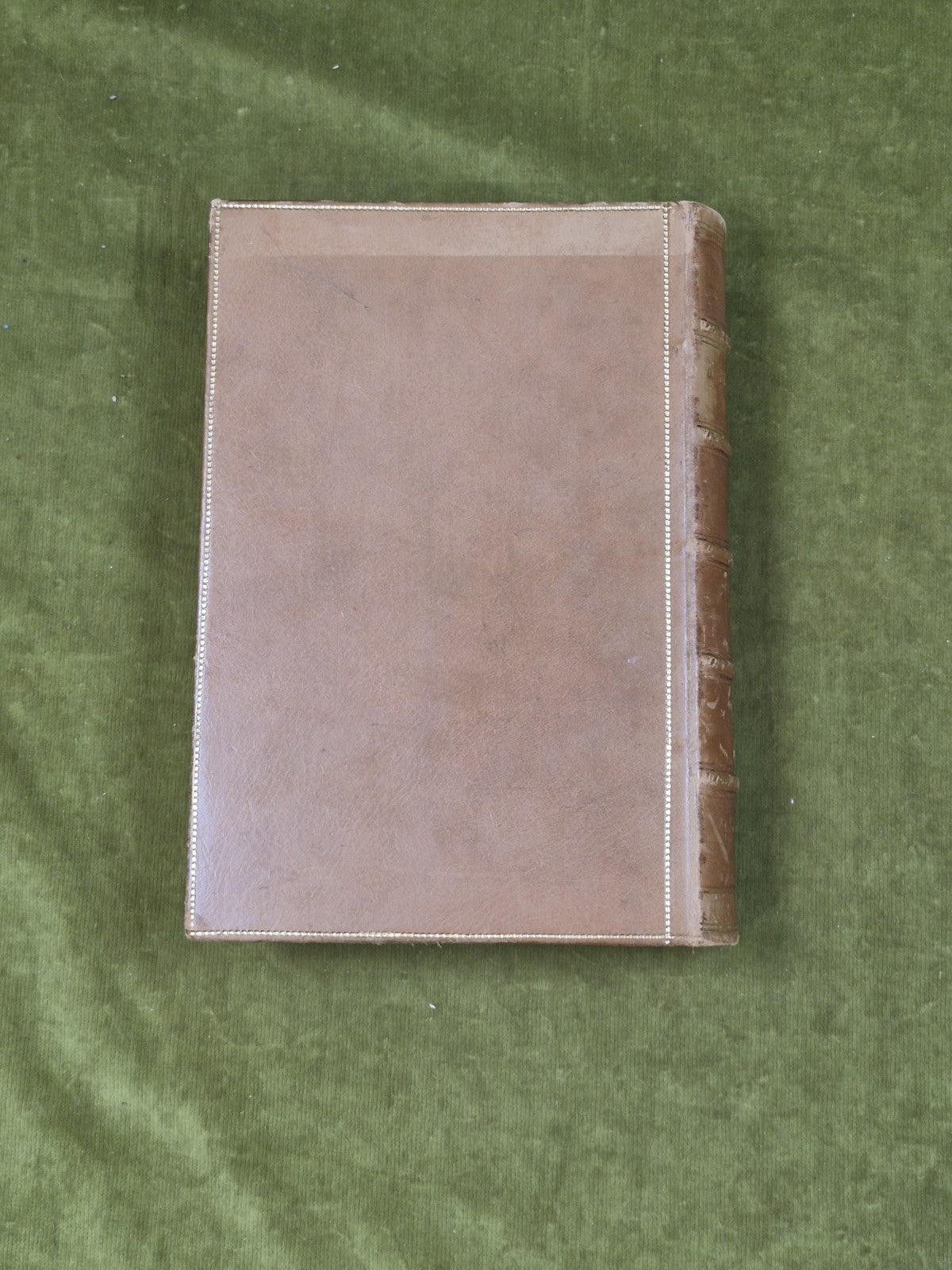 Robert Dick Geologist & Botanist by Samuel Smiles , John Murray 1878 1st Leather2