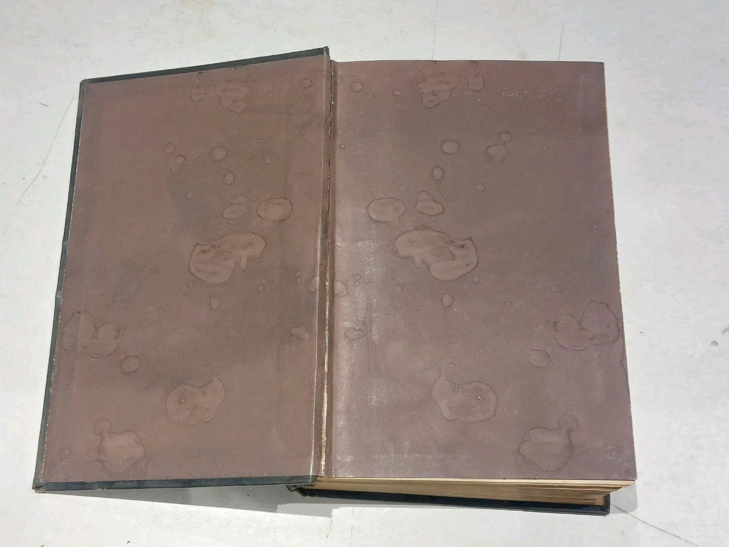 The Church Under Queen Elizabeth by Frederick George Lee - HB 1896 [Antiquarian]2