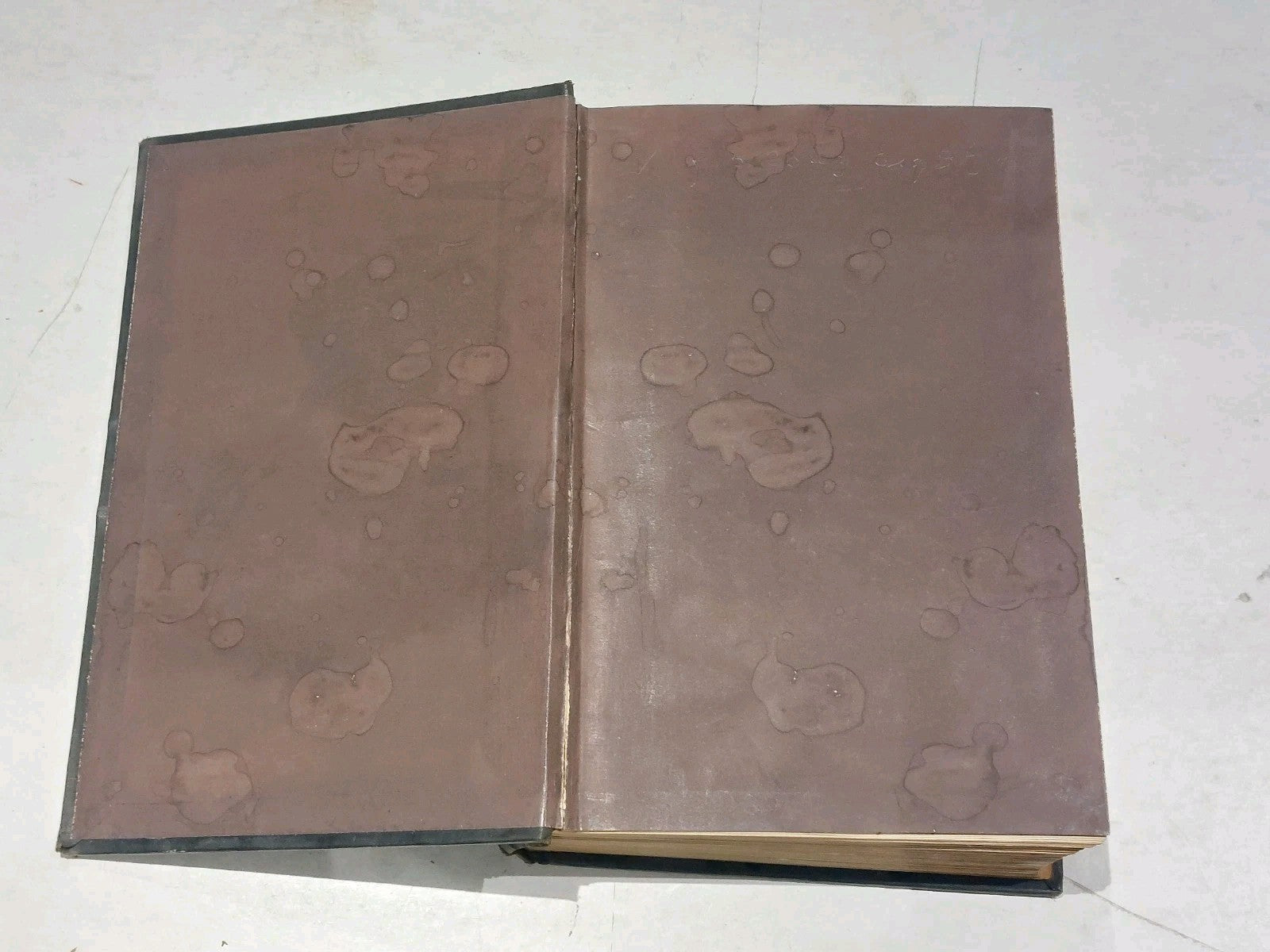 The Church Under Queen Elizabeth by Frederick George Lee - HB 1896 [Antiquarian]2