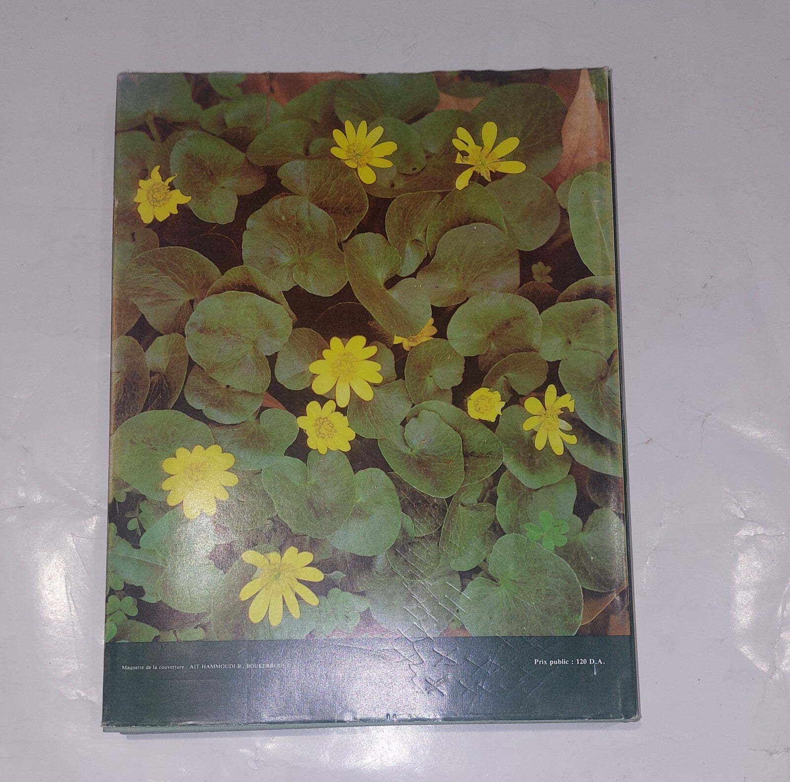 Fleurs D'Algerie By NT et WS Beniston, Enterprise Nationale du Livre Book1