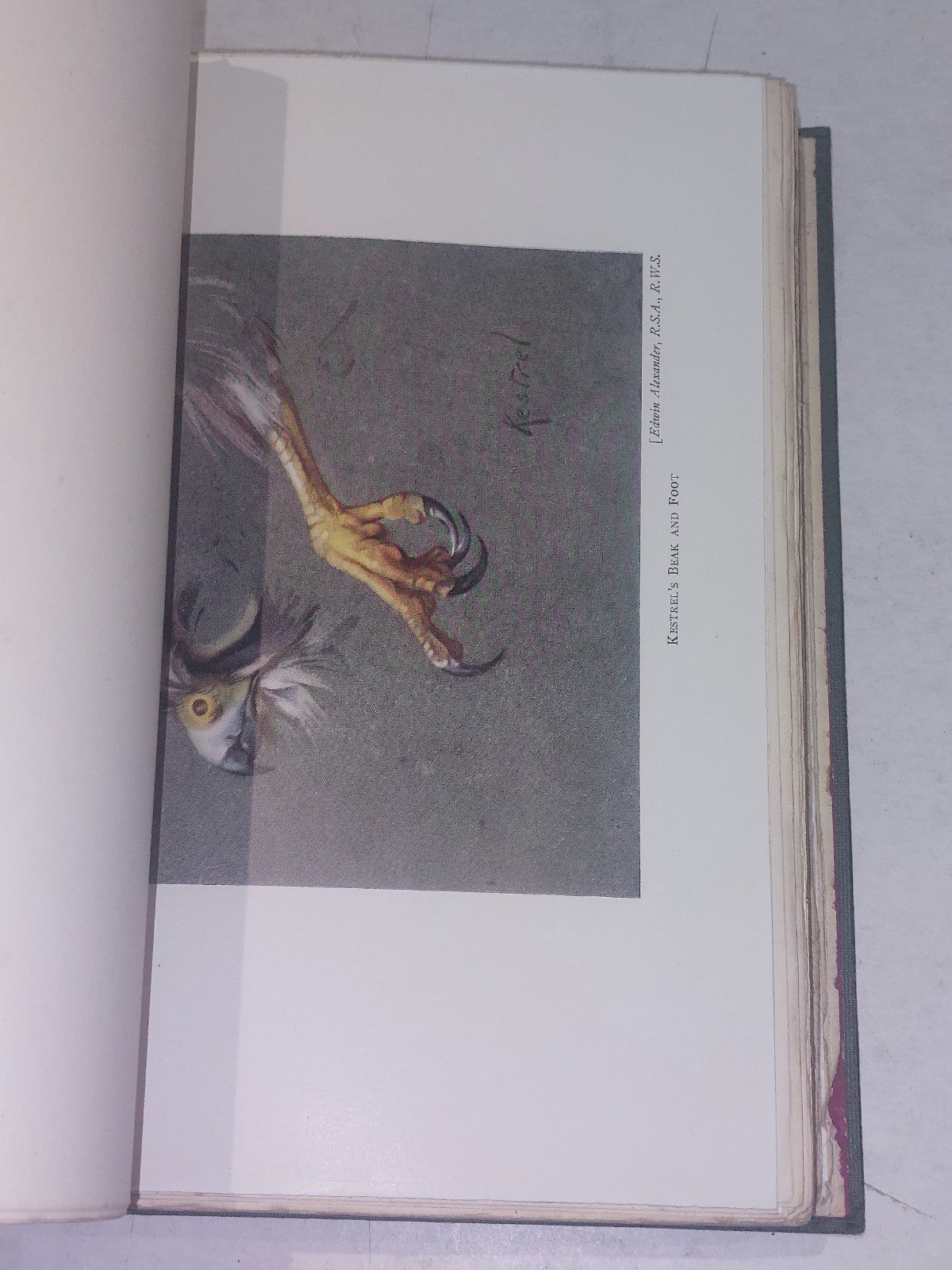 Wild Sports And Natural History Of The Highlands, Charles St John	 (1927) Hb6