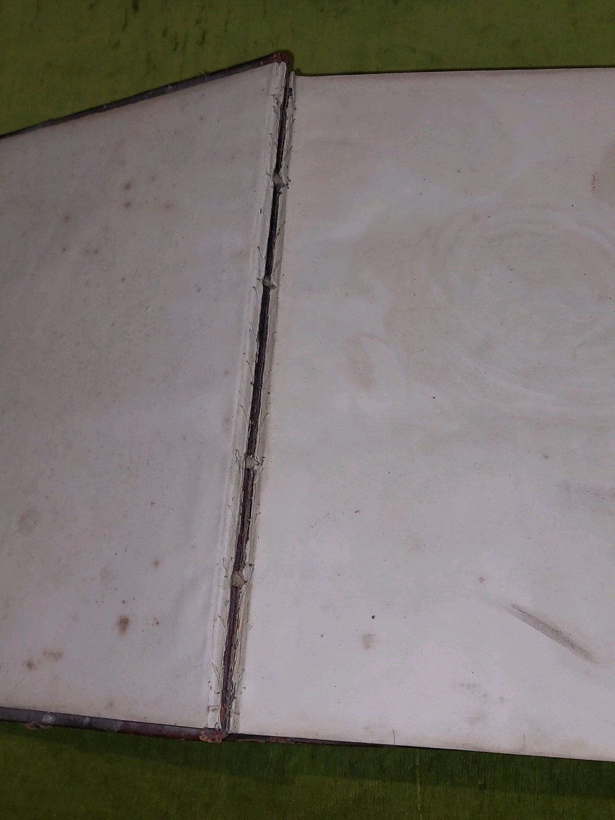 The Gardener’s Assistant Practical and Scientific Gardening 1878 Thompson Moore9