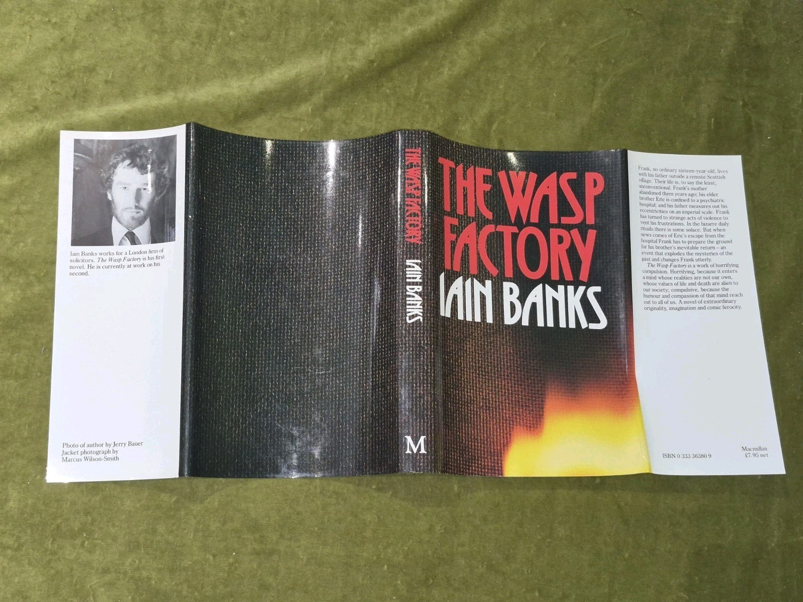 The Wasp Factory by Iain Banks 1984 True First Edition3