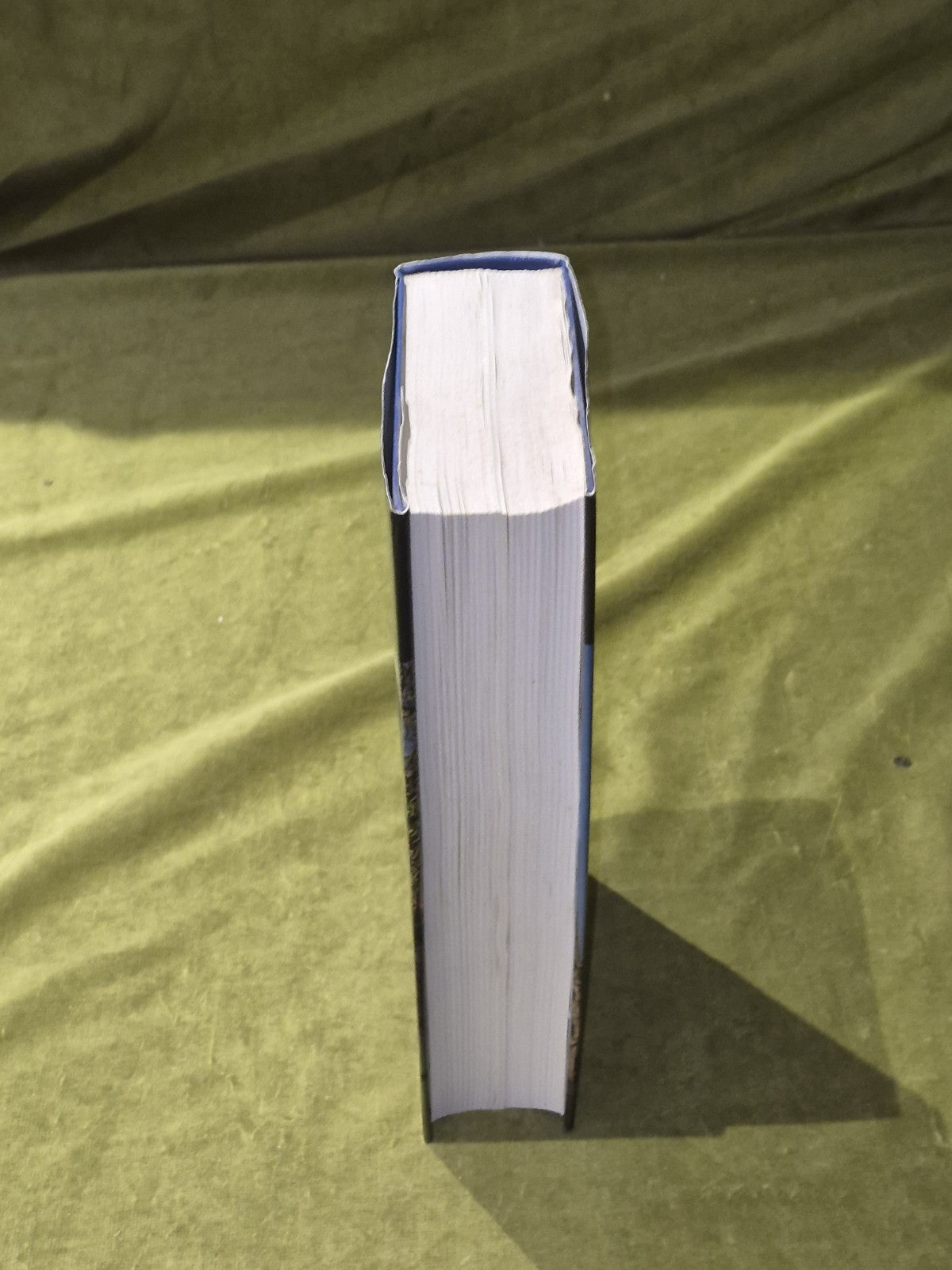 Colin McWilliam, John Gifford / EDINBURGH The Buildings of Scotland7