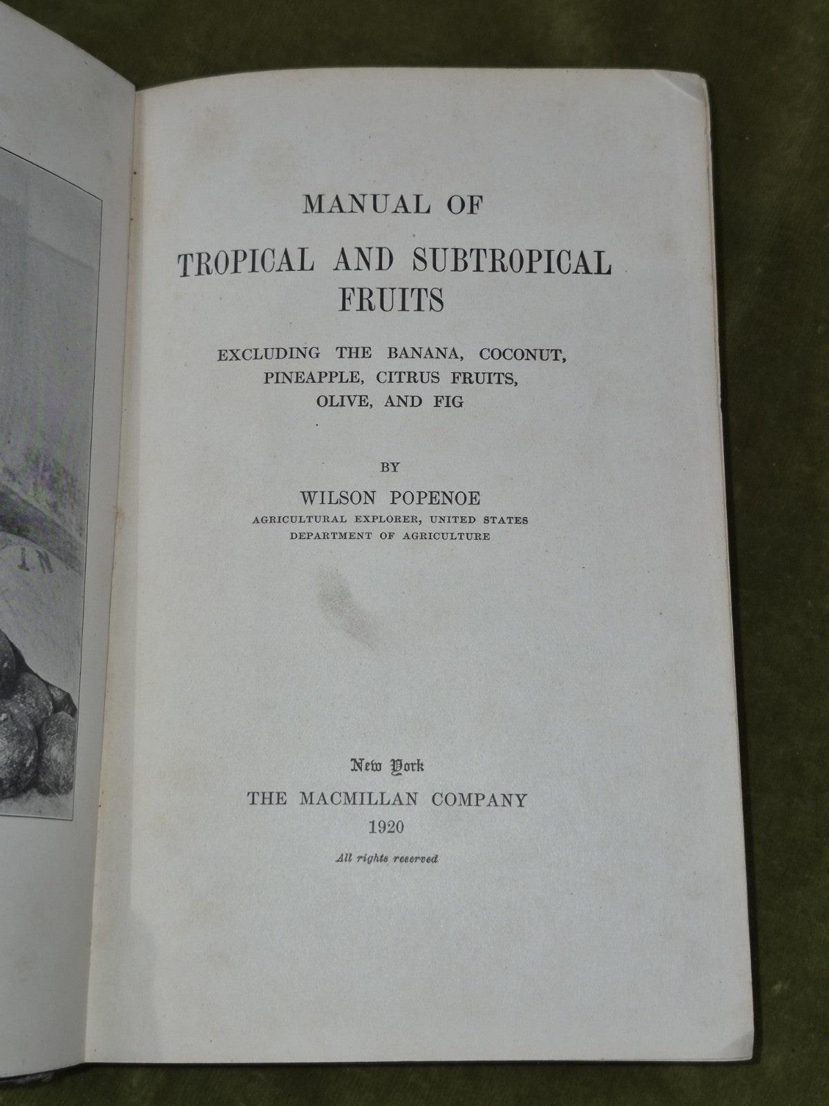 Manual of Tropical and Subtropical Fruits Wilson Popenoe 1920 Macmillan4