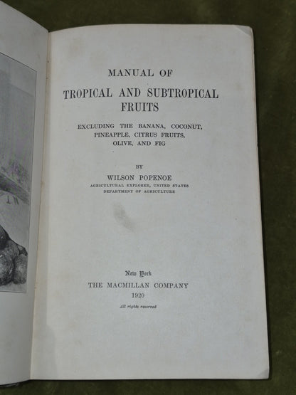 Manual of Tropical and Subtropical Fruits Wilson Popenoe 1920 Macmillan4