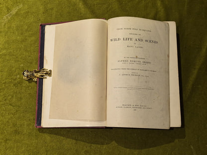 From North Pole To Equator Wild Life And Scenes In Many Lands - Brehm 1st 18975