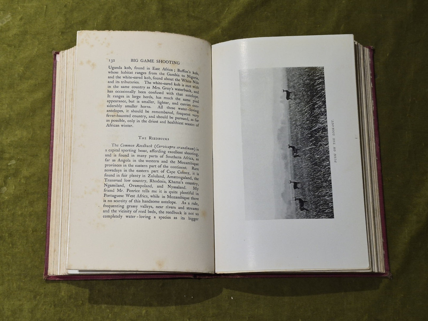 BIG GAME SHOOTING VOL 2 - HORACE HUTCHINSON  COUNTRY LIFE LIBRARY OF SPORT BOOK6