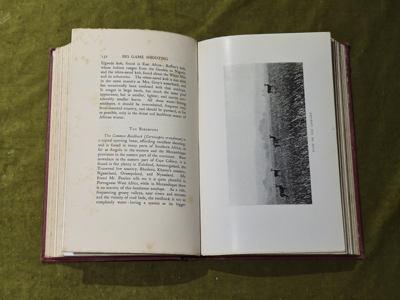 BIG GAME SHOOTING VOL 2 - HORACE HUTCHINSON  COUNTRY LIFE LIBRARY OF SPORT BOOK6
