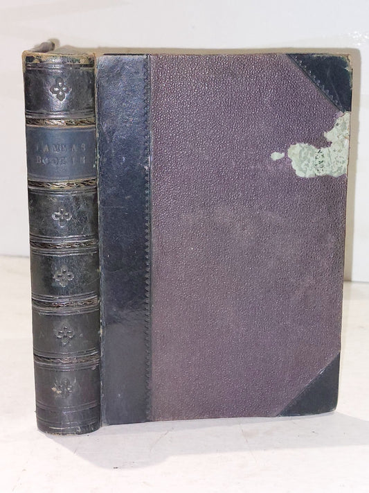 Tammas Bodkin, Or The Humours Of A Scottish Tailor (1864) [John Menzies] Hb Book0