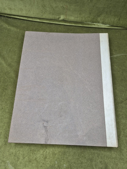 Political Caricatures 1904 -  SIGNED by F Carruthers Gould , Edward Arnold 19042