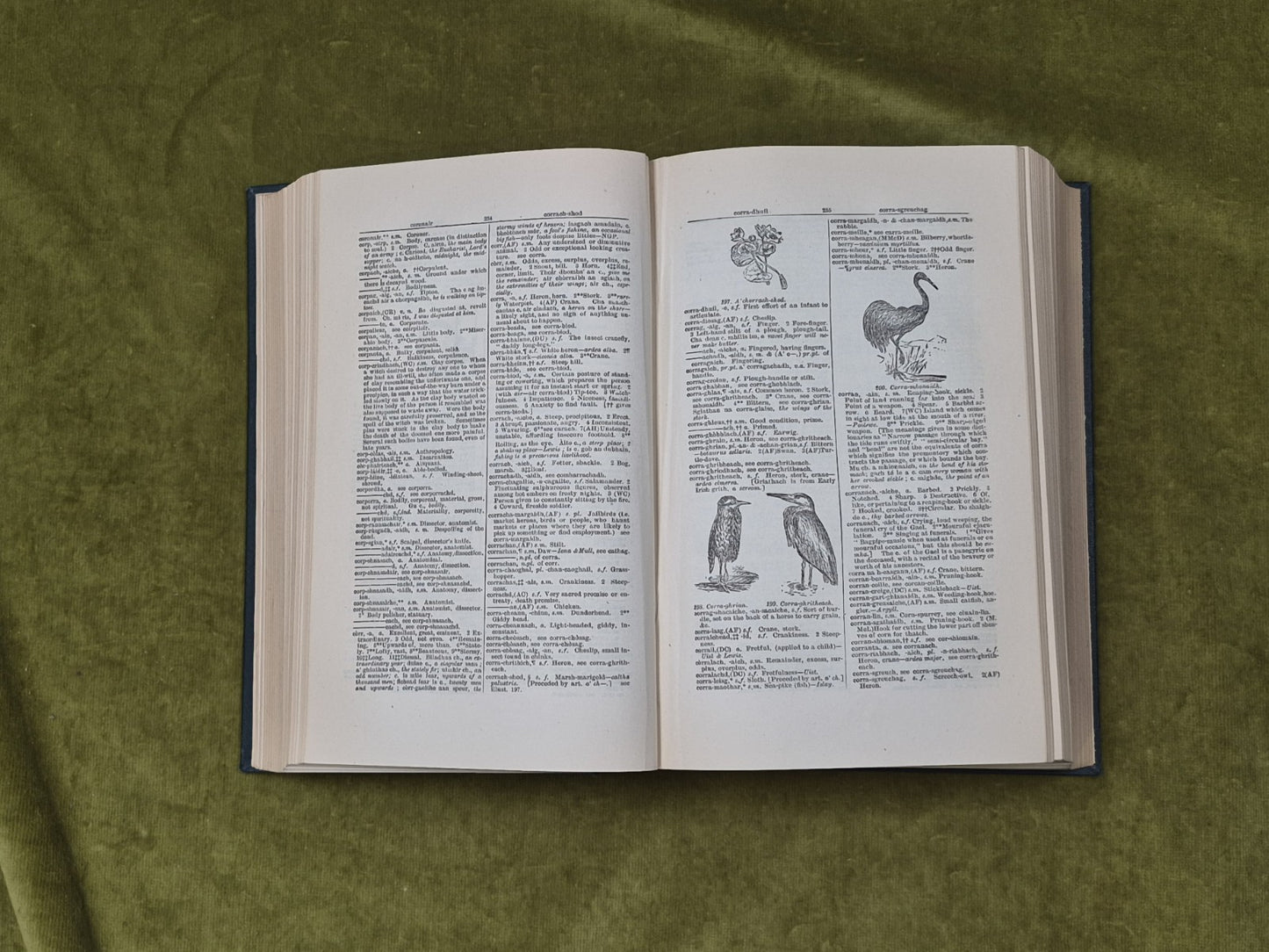 Illustrated Gaelic-English Dictionary by Edward Dwelly , Maclaren 19497