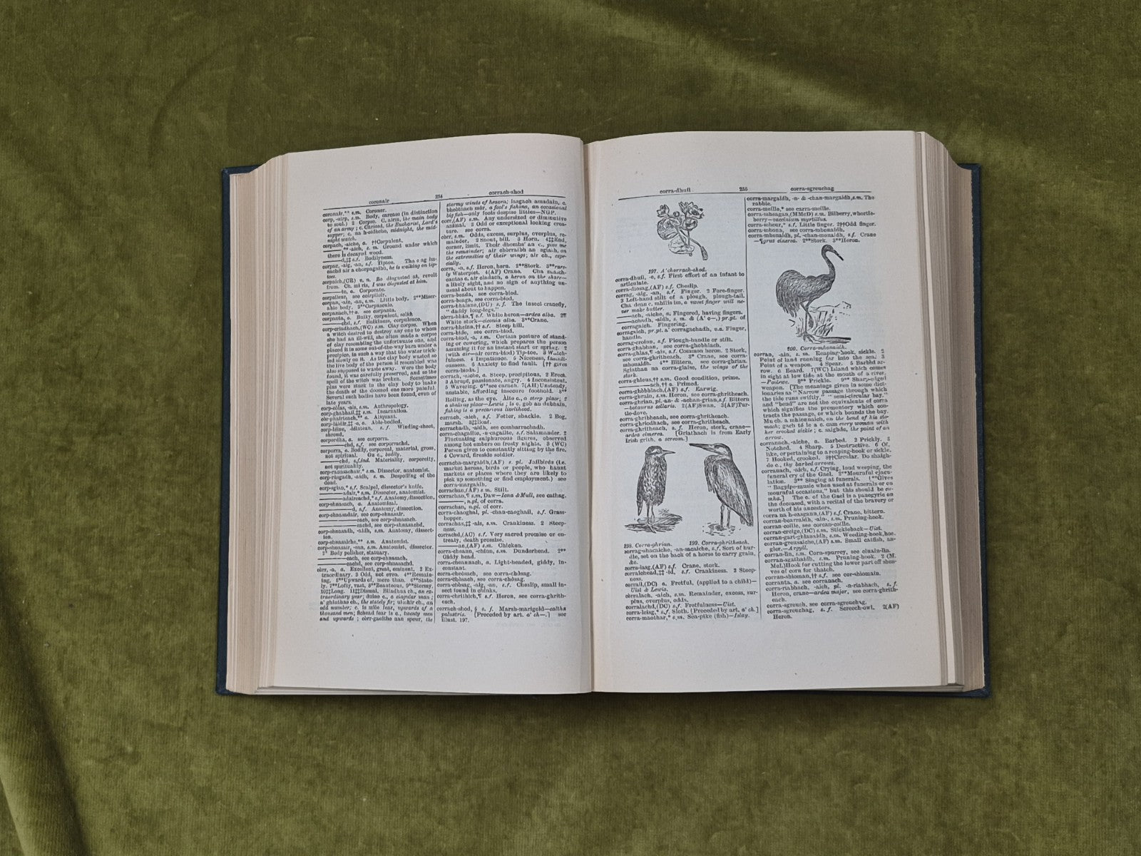 Illustrated Gaelic-English Dictionary by Edward Dwelly , Maclaren 19497