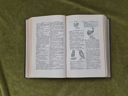 Illustrated Gaelic-English Dictionary by Edward Dwelly , Maclaren 19497