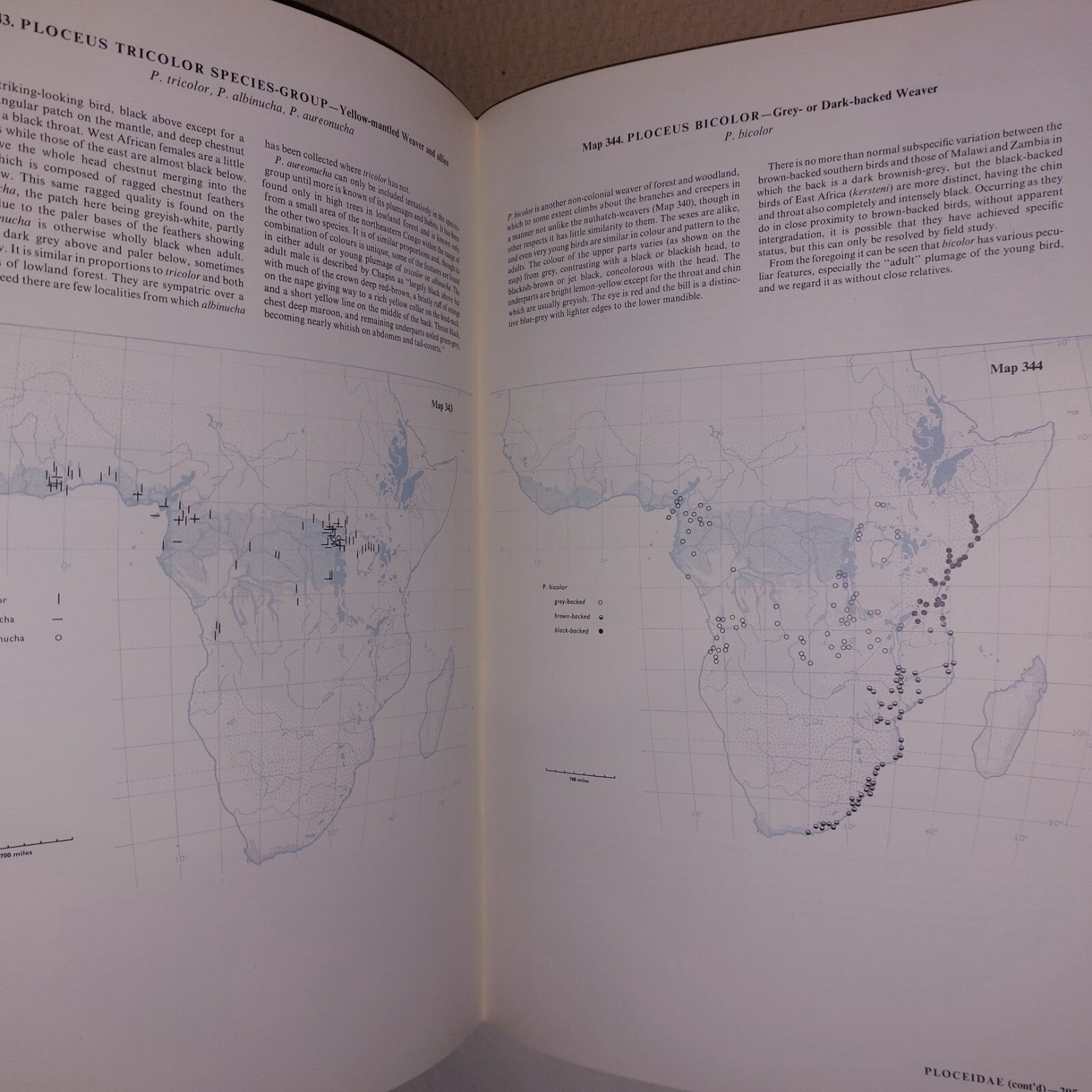 An Atlas of Speciation in African Passerine Birds - Hall & Moreau 1970 HB-DJ11