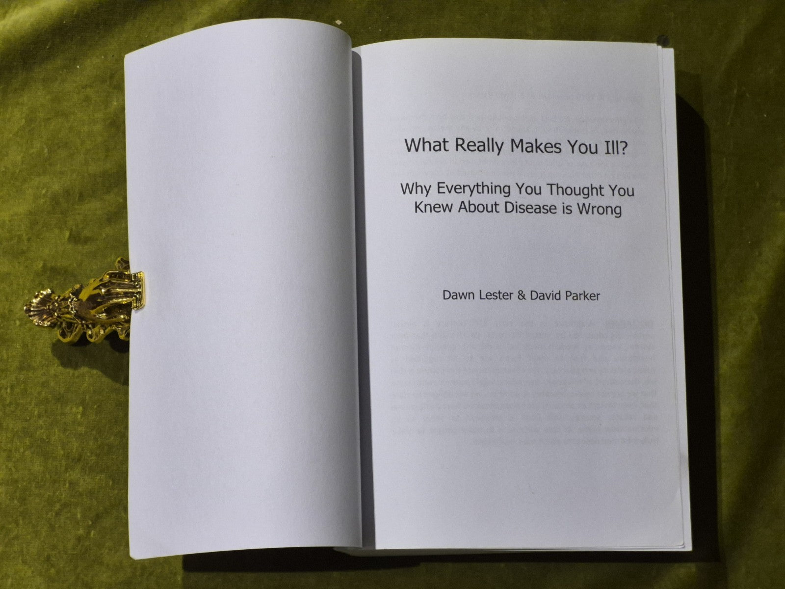 What Really Makes You Ill? By David Parker & Dawn Lester 2019 Paperback3