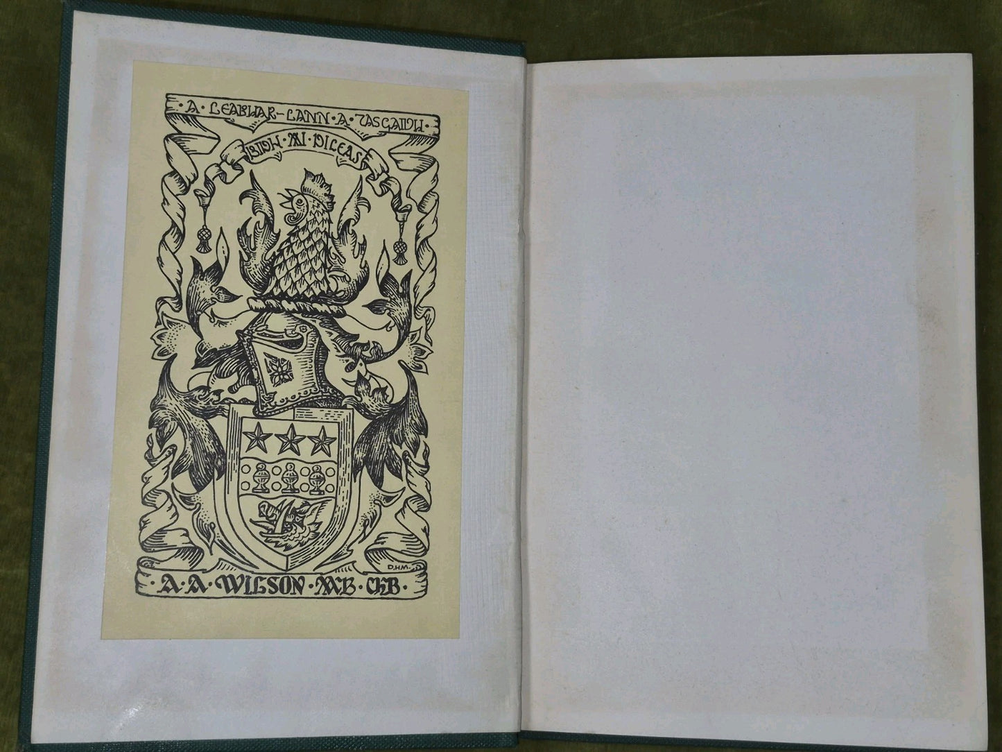 Luibleabran Irish and Scottish Gaelic Names Herbs Plants Trees Edmund Hogan 19003