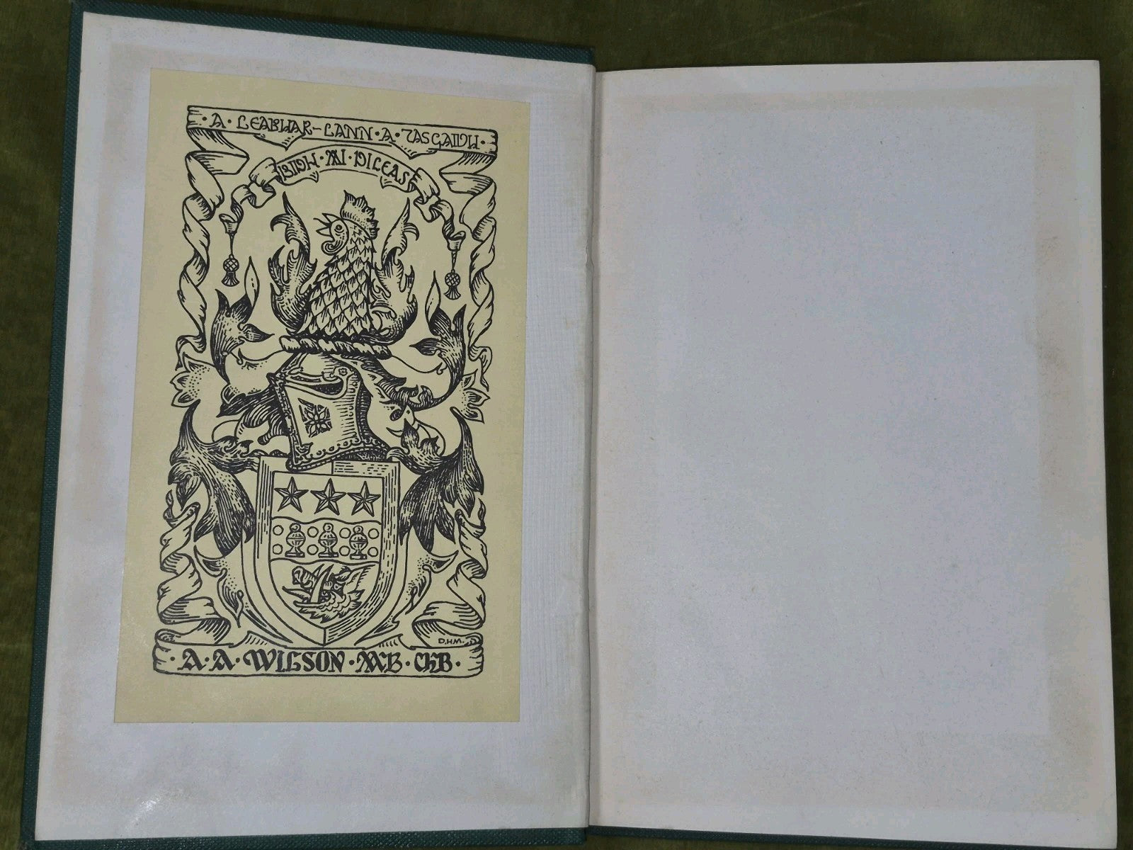 Luibleabran Irish and Scottish Gaelic Names Herbs Plants Trees Edmund Hogan 19003