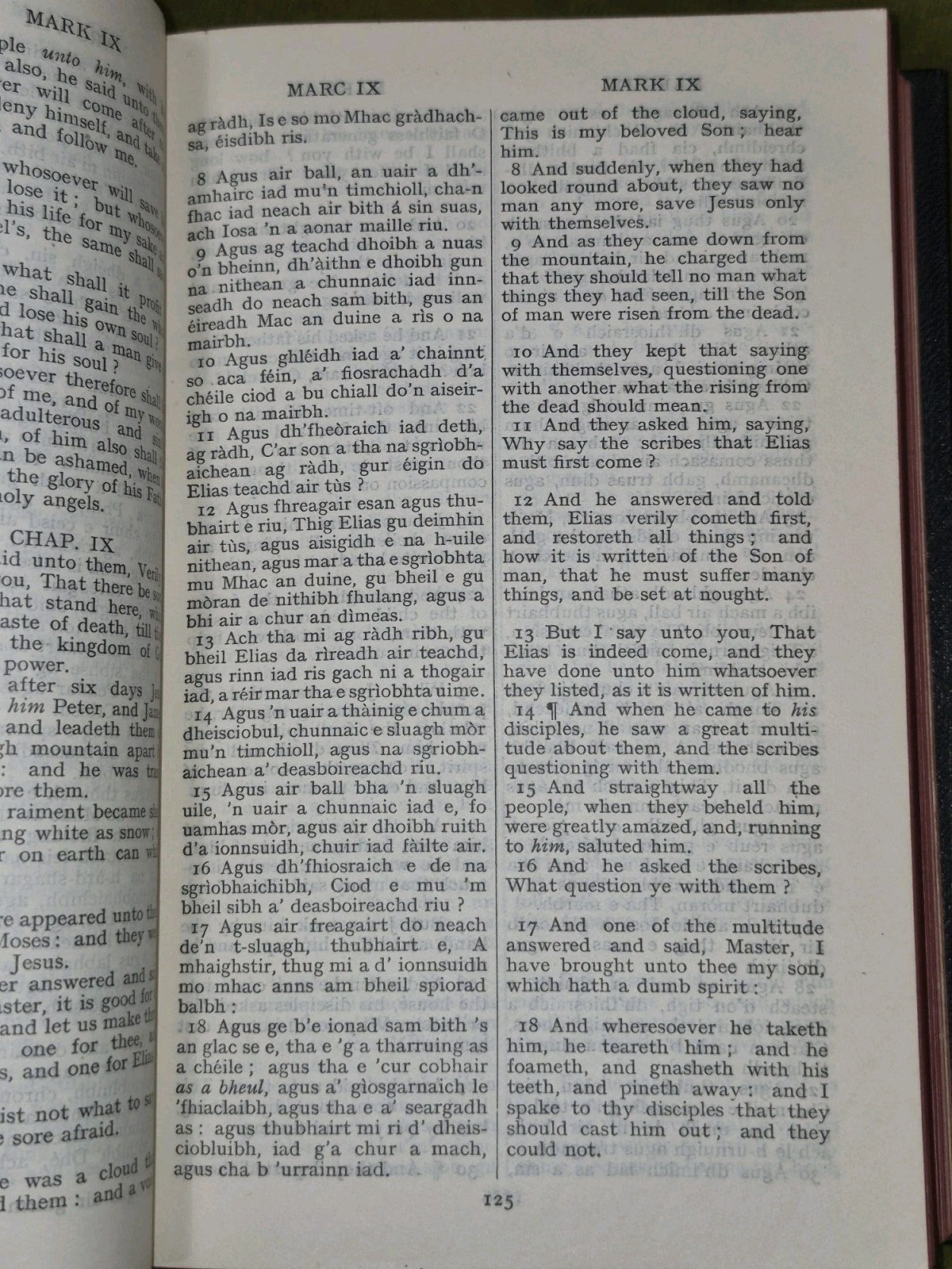 Tiomnadh Nuadh Biobull 1933 Comunn-Bhiobull Duthchail Na H-Alba6