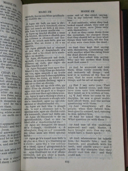 Tiomnadh Nuadh Biobull 1933 Comunn-Bhiobull Duthchail Na H-Alba6