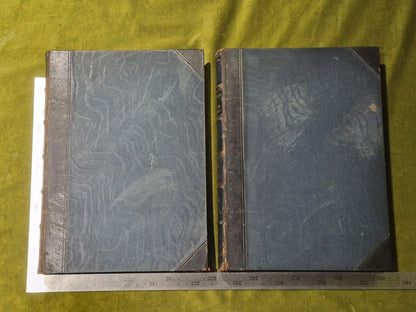 Gleanings from Popular Authors Grave and Gay Vols 1 & 2 - 1882 1st Ed1