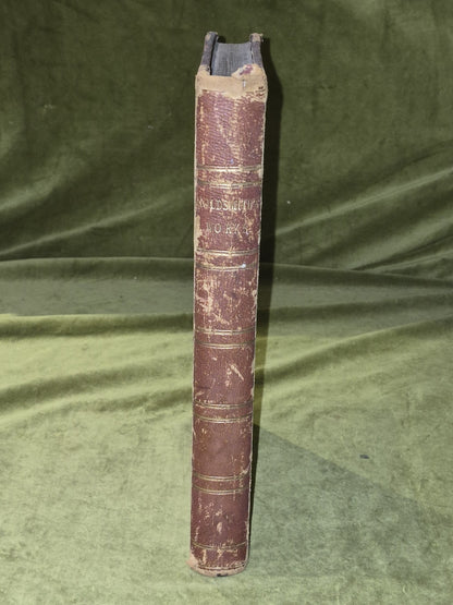 Dalziel's Illustrated Goldsmith Stories 100 Pictures 1865 Ward Lock HB Works3