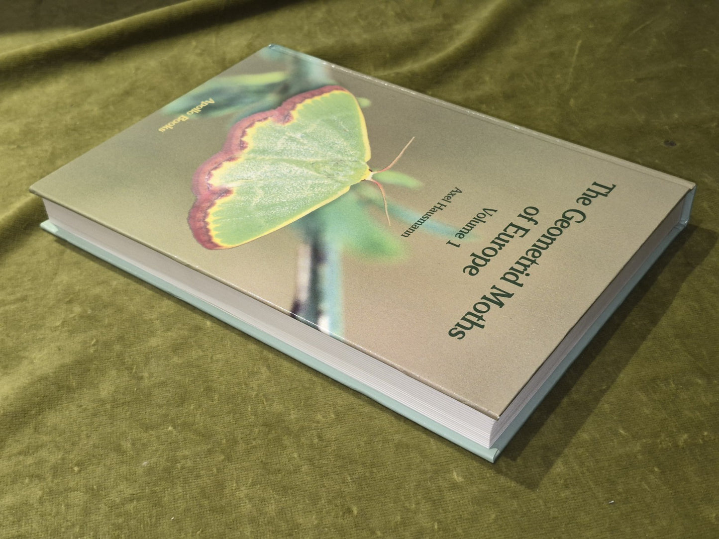 The Geometrid Moths Of Europe 20012