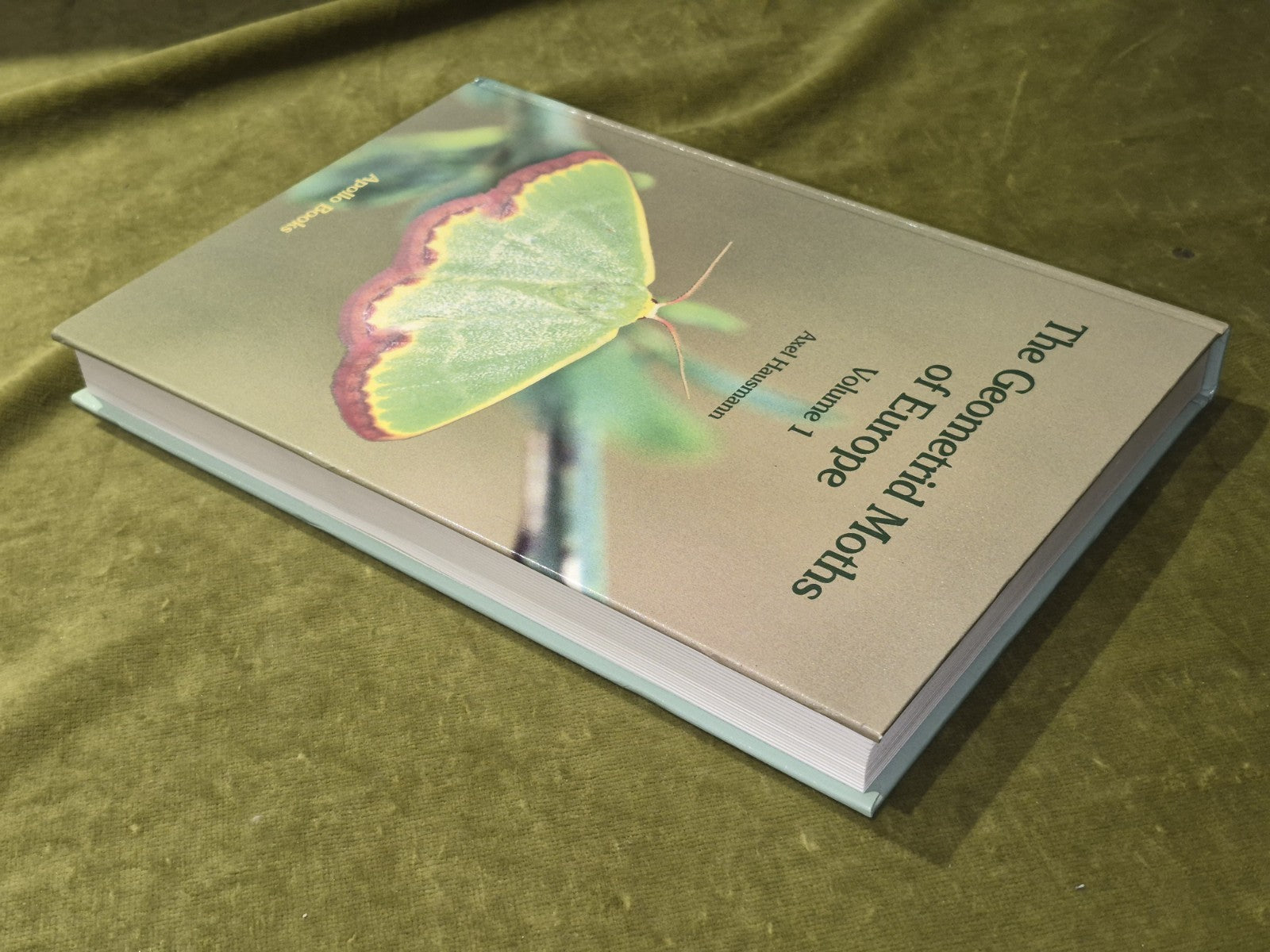 The Geometrid Moths Of Europe 20012
