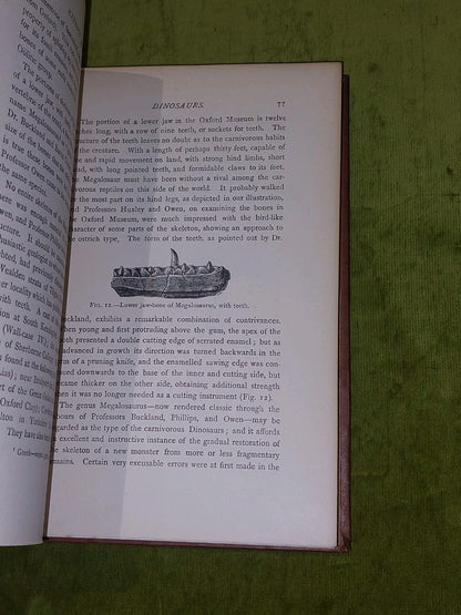 Extinct Monsters  Rev H N Hutchinson (1897) [Chapman & Hall] 5th Ed Hb Book6