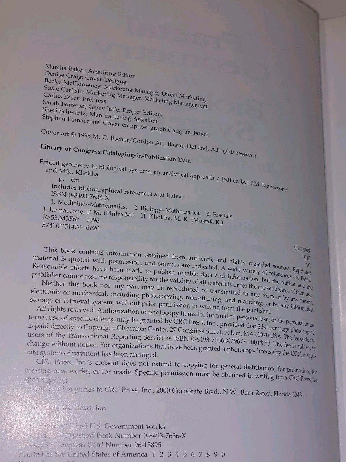 Fractal Geometry in Biological Systems: An Analytical Approach by Iannaccone4