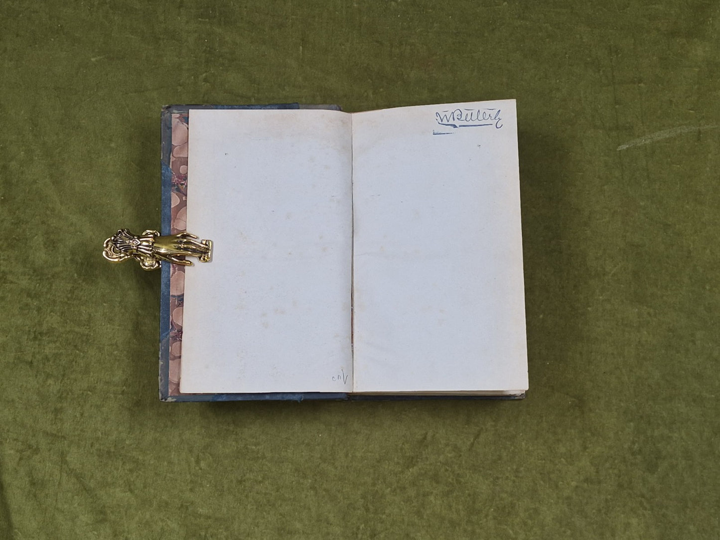 Synopsis hepaticarum: Coniunctis studiis scripserunt et edi curaverunt - 18444