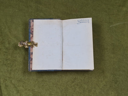 Synopsis hepaticarum: Coniunctis studiis scripserunt et edi curaverunt - 18444