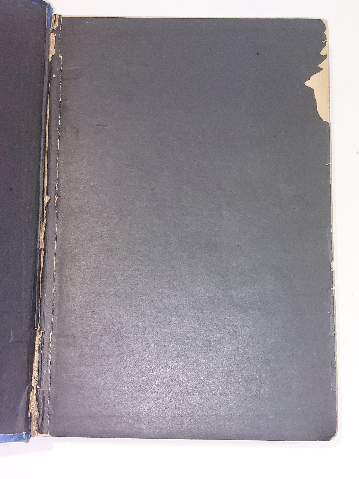 The Secret of the Totem by Andrew Lang (1905 first edition)5